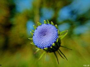 留下一些美丽的东西