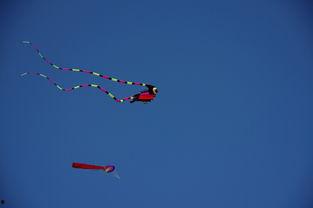 留下一些美丽的东西