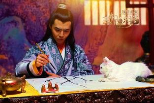 我家王爷穿古今