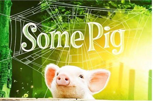 夏洛特的网,友谊与生命的永恒赞歌