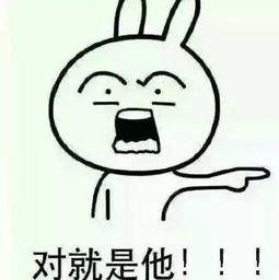 糊涂大盗,揭秘盗贼界的“笑面虎”传奇