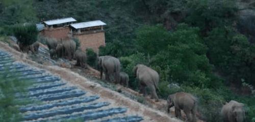 一路象北,探寻神秘北方的奇幻旅程