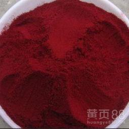 热带胭脂红,探寻自然色彩的奥秘与魅力