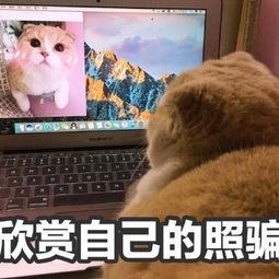 今天也很抱歉,共赴美好未来