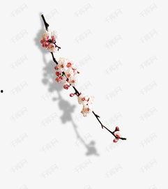 一枝梅