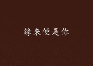 缘来是你,一段跨越时空的浪漫邂逅